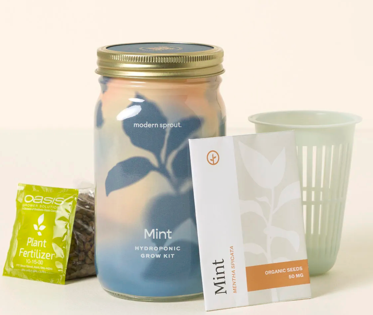 Mason Jar Indoor Garden – Organic Mint Growing Kit