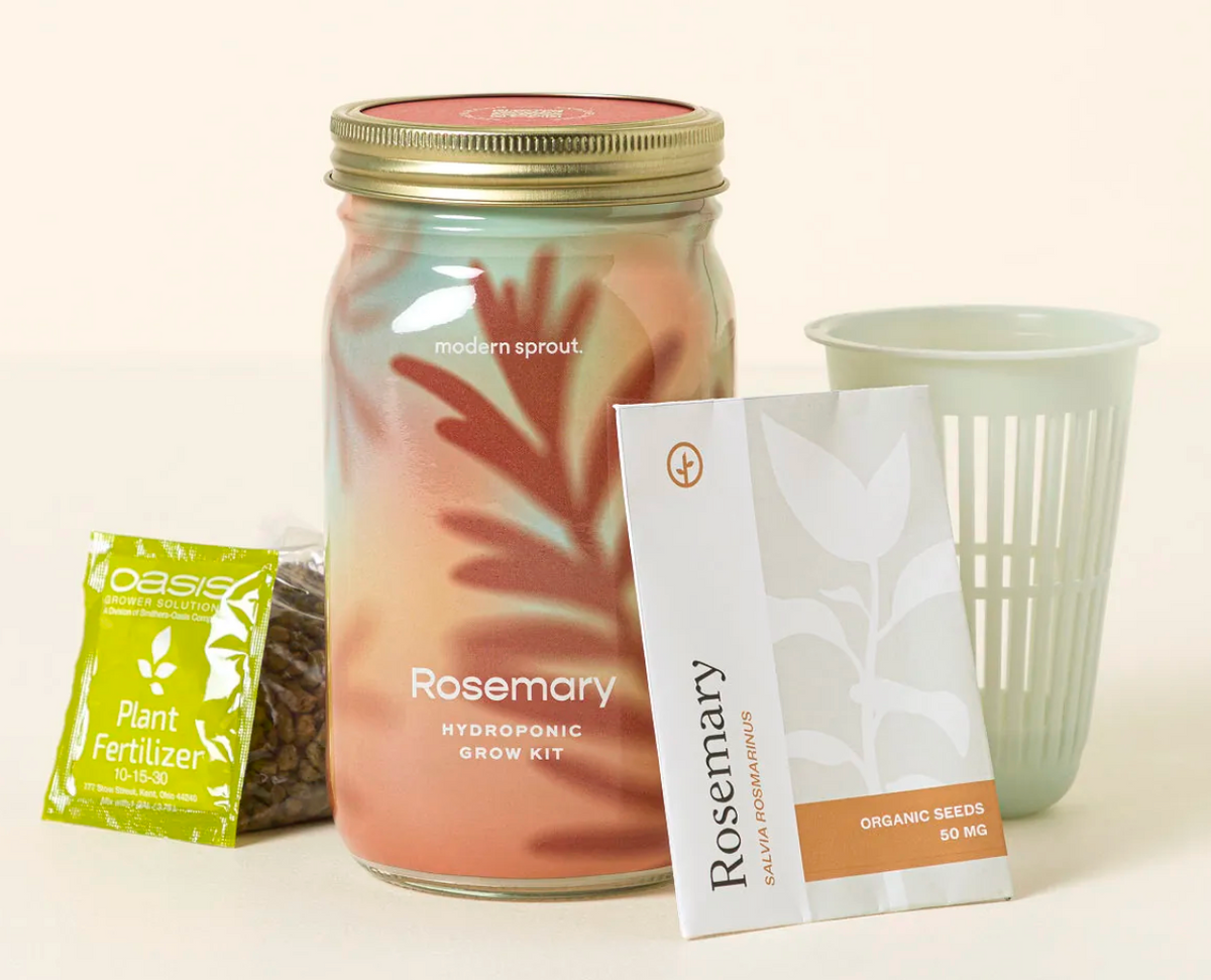 Mason Jar Indoor Garden – Organic Rosemary Growing Kit