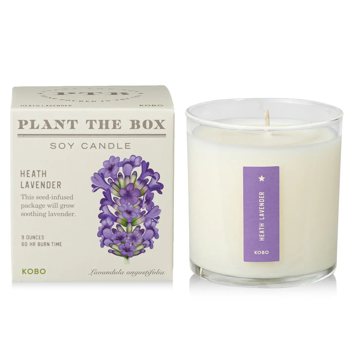 Plant the Box Candle - Lavender