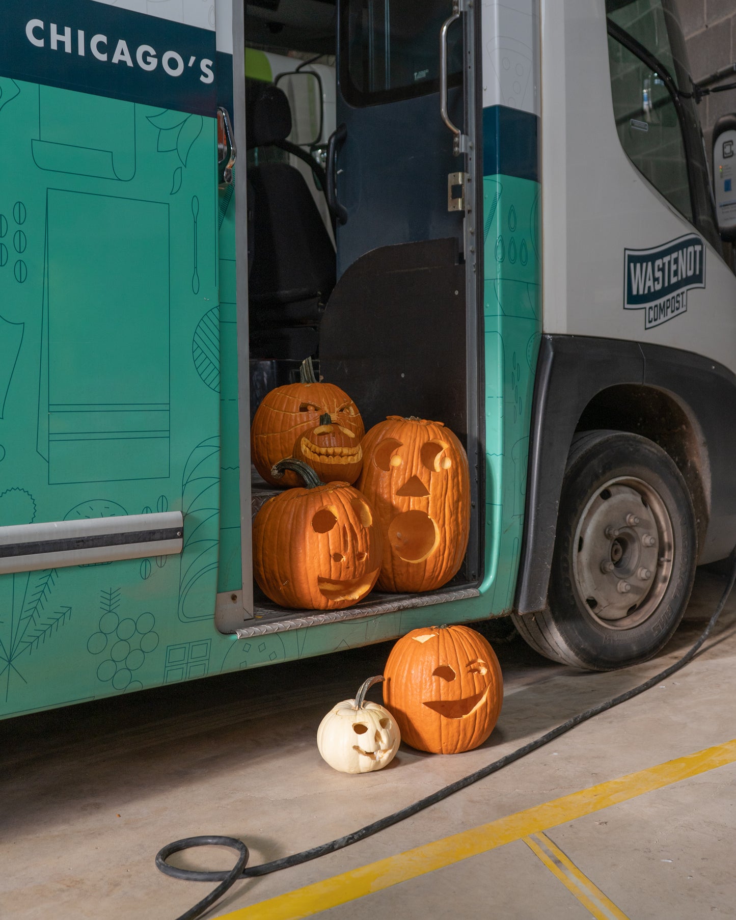 Pumpkin Collection