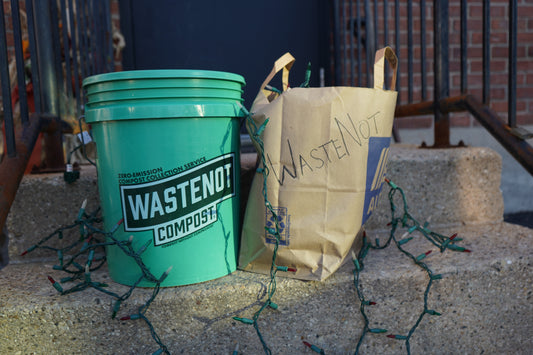 String Light Collection