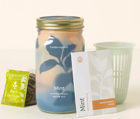 Mason Jar Indoor Garden – Organic Mint Growing Kit