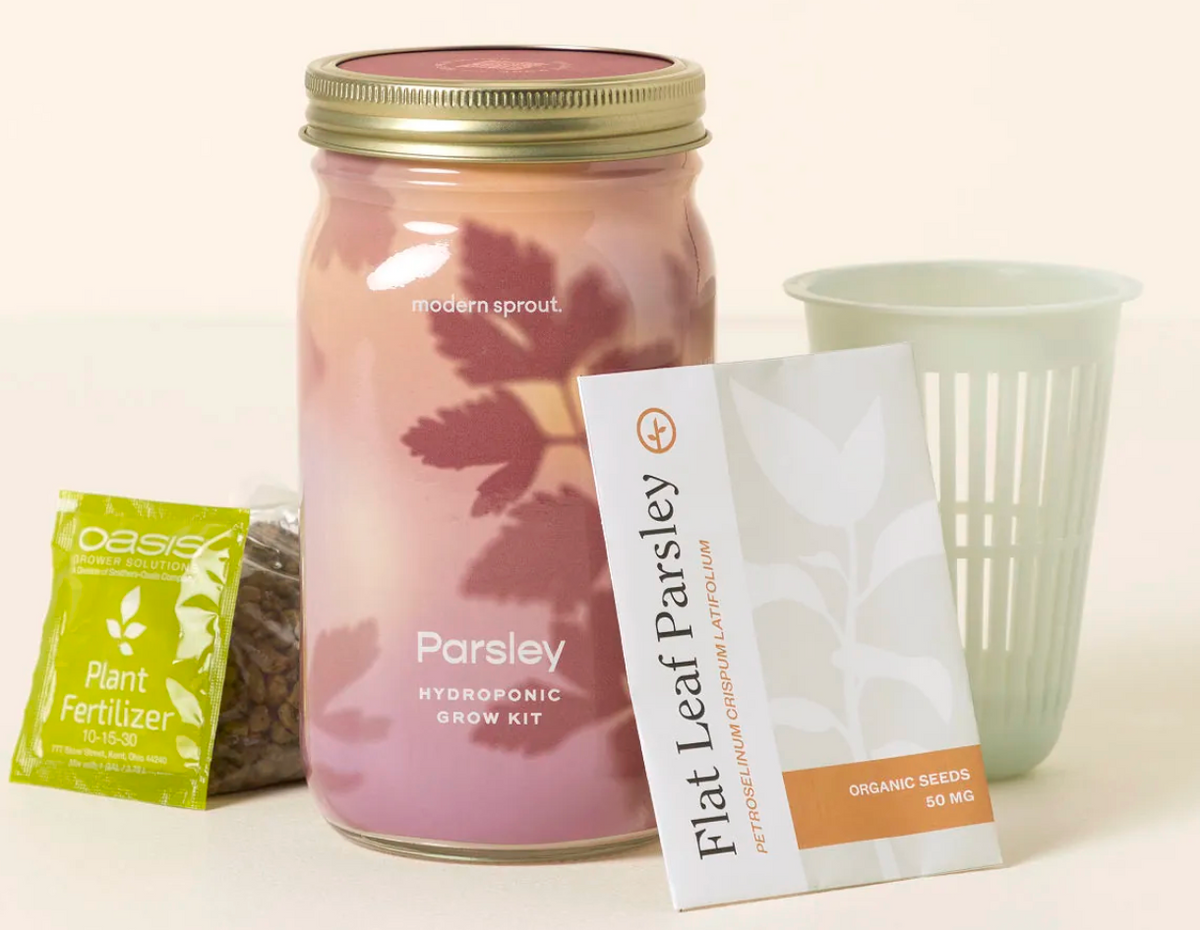 Mason Jar Indoor Garden – Organic Parsley Growing Kit