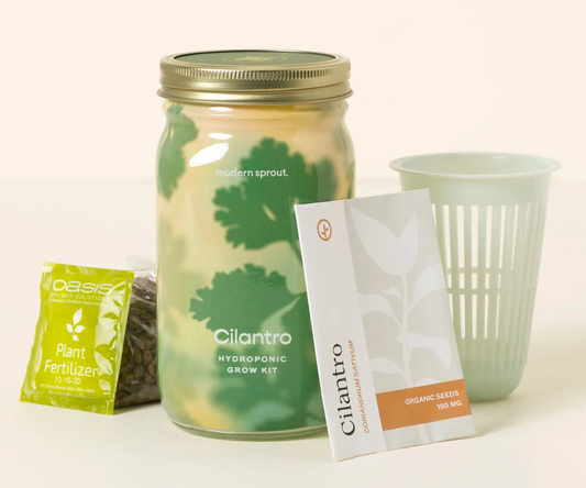 Mason Jar Indoor Garden – Organic Cilantro Growing Kit
