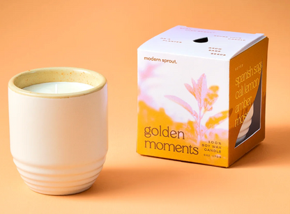 Candle/Planter 2-in-1: Golden Moments