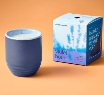 Candle/Planter 2-in-1: Violet Hour