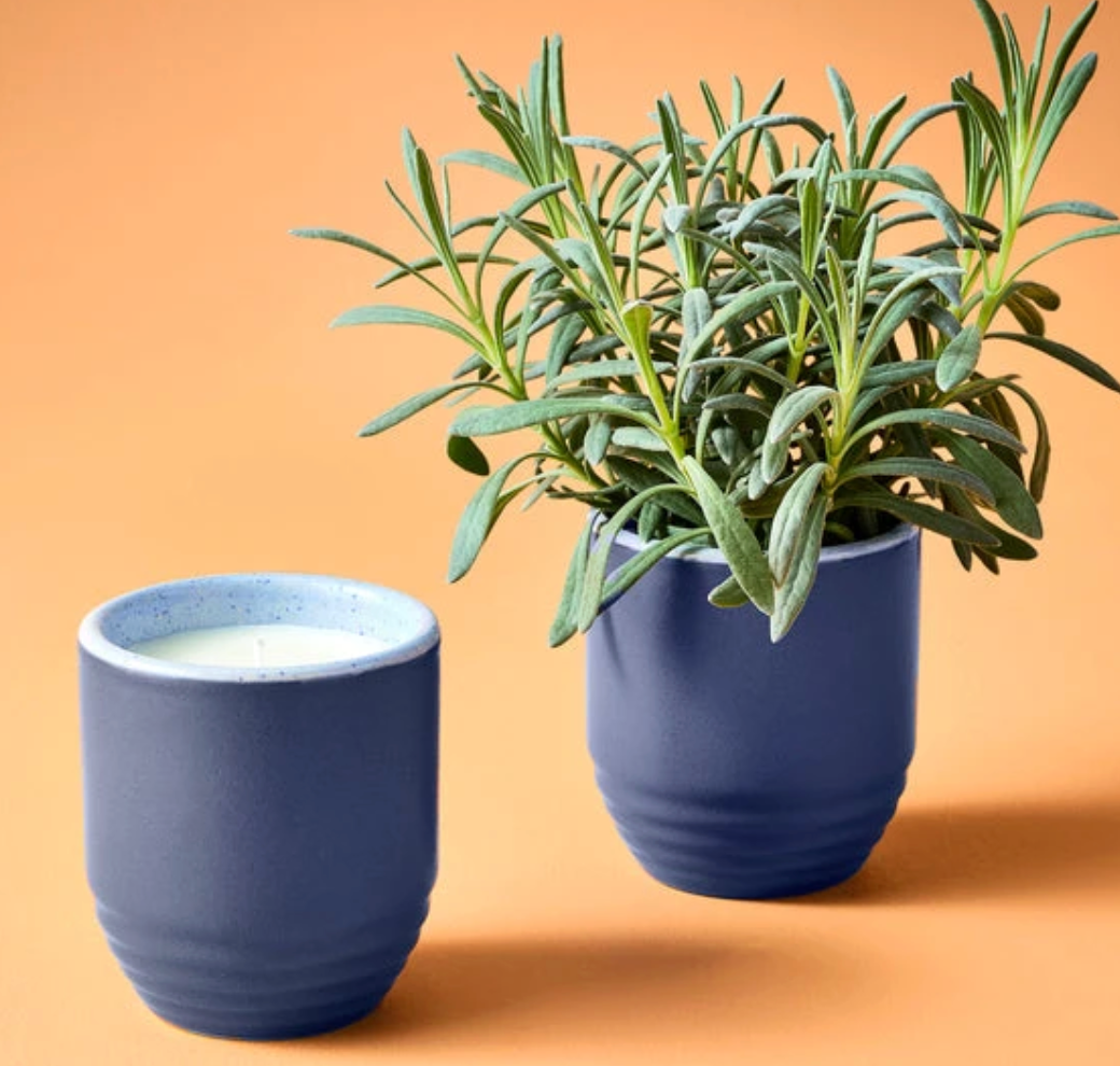 Candle/Planter 2-in-1: Violet Hour