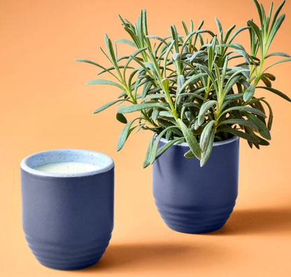 Candle/Planter 2-in-1: Violet Hour