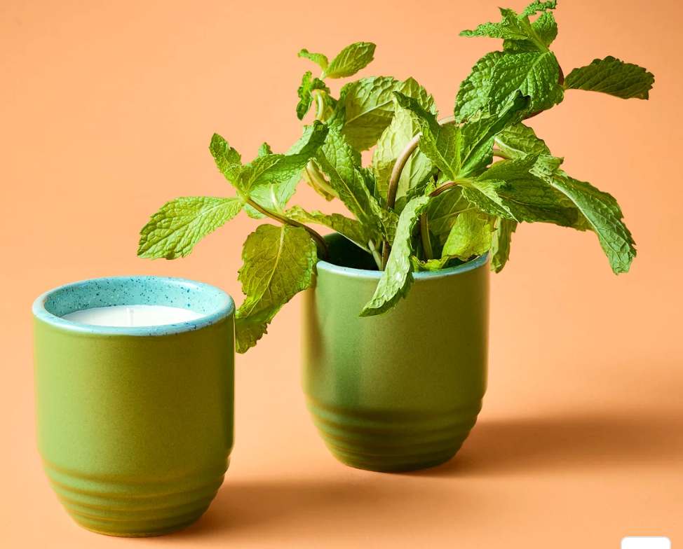 Candle/Planter 2-in-1: In The Weeds