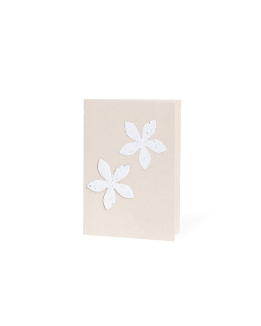 Southside Blooms Greeting Cards