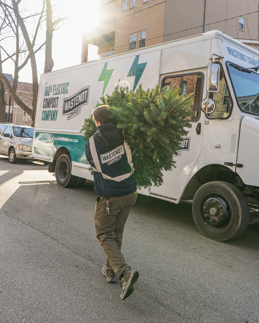 Holiday Tree Collection