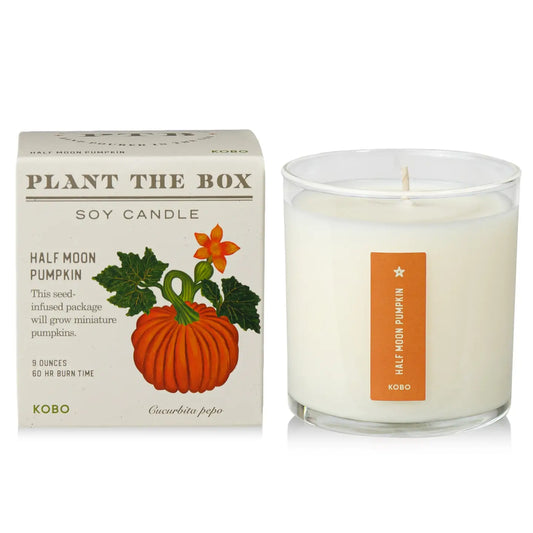 Plant the Box Candle - Pumpkin